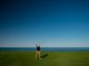 Golf illustration